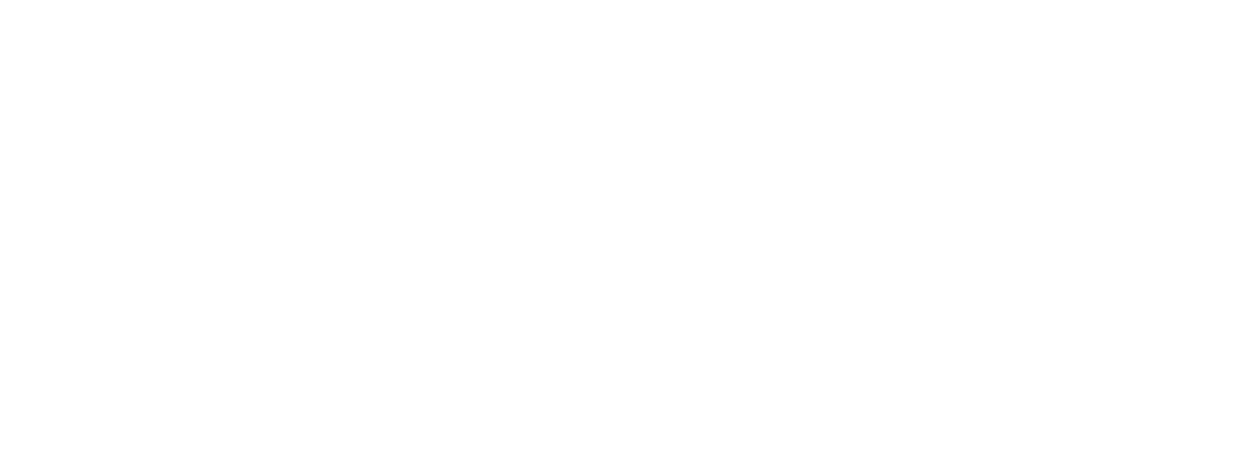 iijs-logo